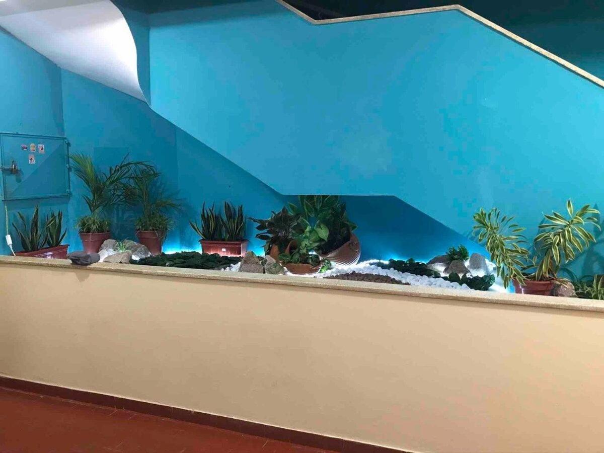Studio Terreo - Tranquilidade Na Cidade | Wi-Fi | Poucos Metros Da Igreja Matriz. Salinópolis Buitenkant foto